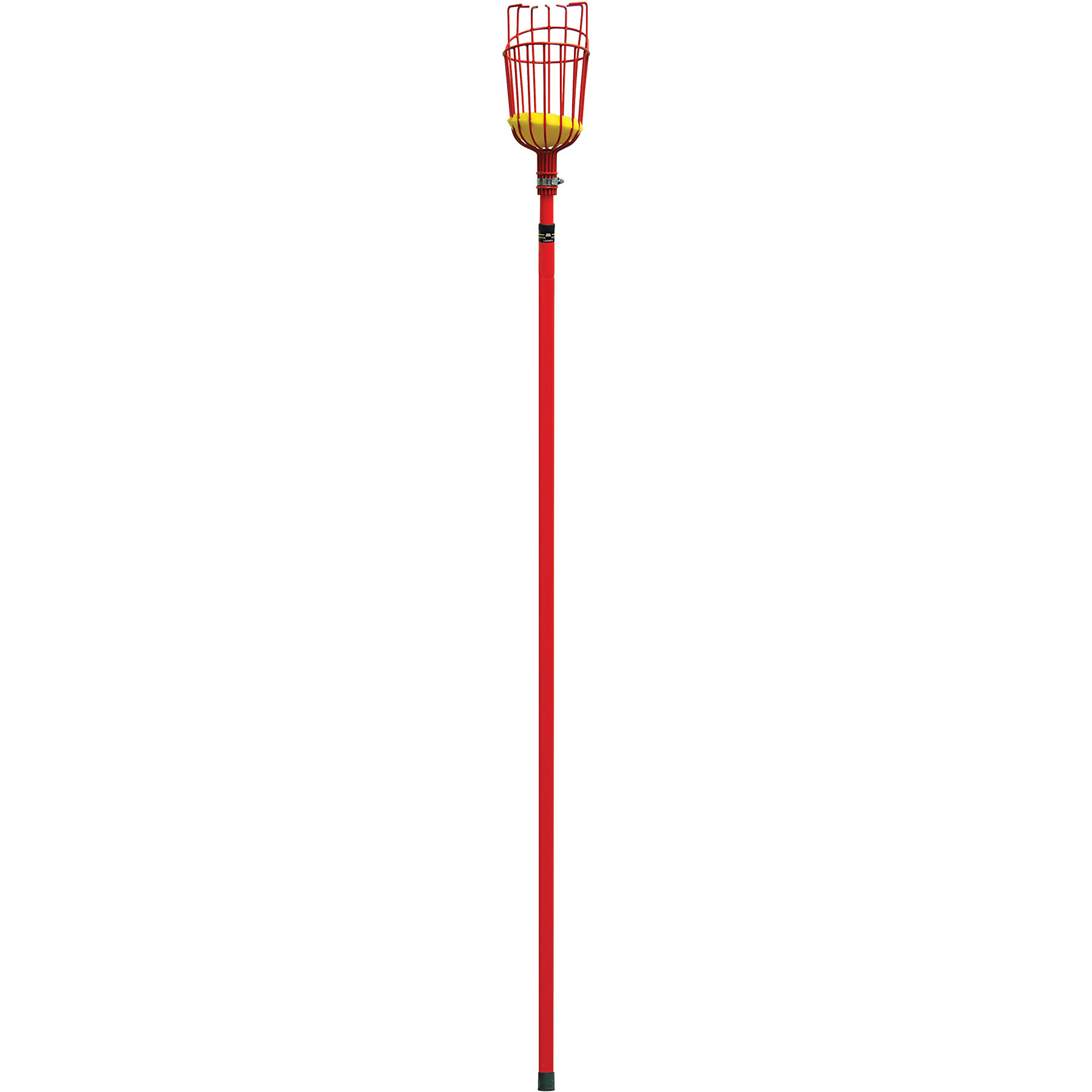 Corona Extendable Fruit Picker — 12ft., Model# FP 2312
